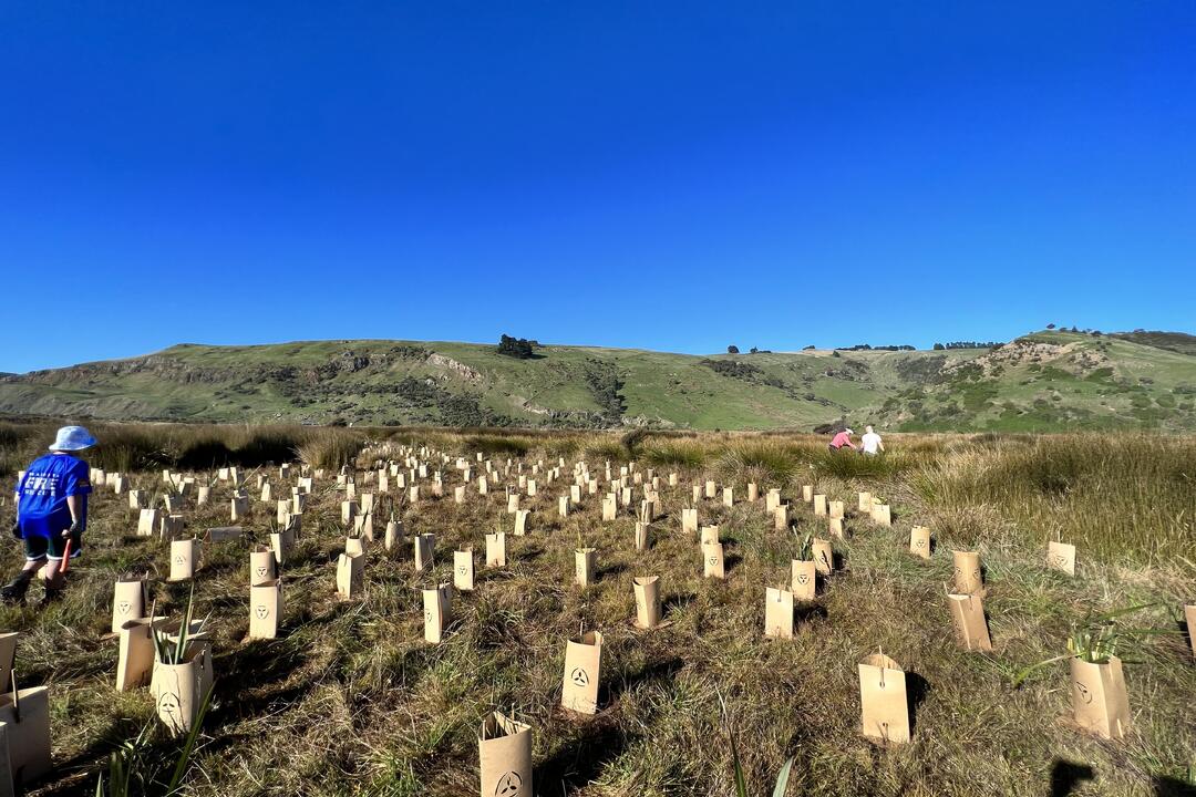 Sustainability and Community